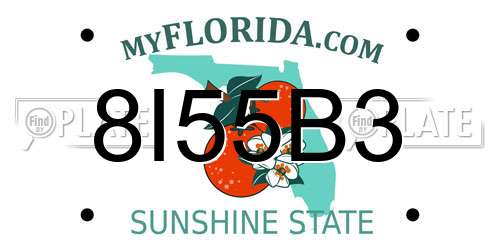 8I55B3 Florida License Plate