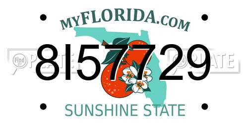 8I57729 Florida License Plate