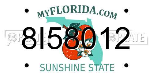 8I58012 Florida License Plate