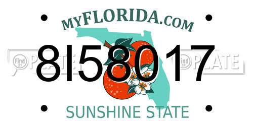 8I58017 Florida License Plate