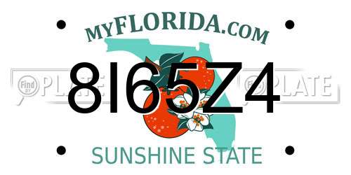 8I65Z4 Florida License Plate