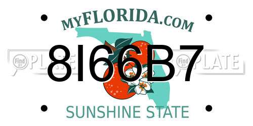 8I66B7 Florida License Plate
