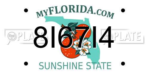 8I67I4 Florida License Plate