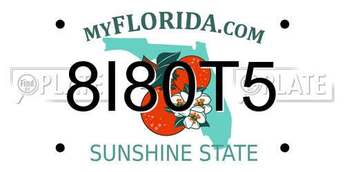 8I80T5 Florida License Plate