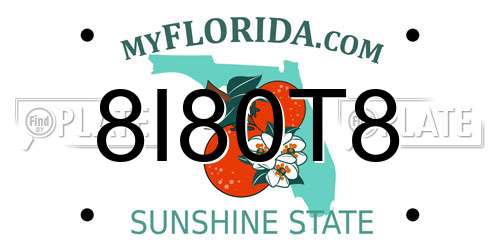 8I80T8 Florida License Plate