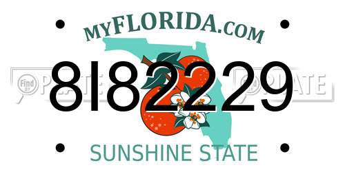 8I82229 Florida License Plate