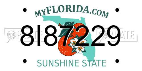 8I87229 Florida License Plate