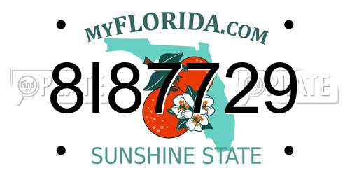 8I87729 Florida License Plate