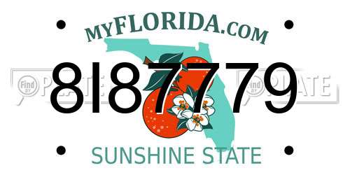 8I87779 Florida License Plate