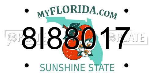 8I88017 Florida License Plate
