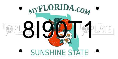 8I90T1 Florida License Plate