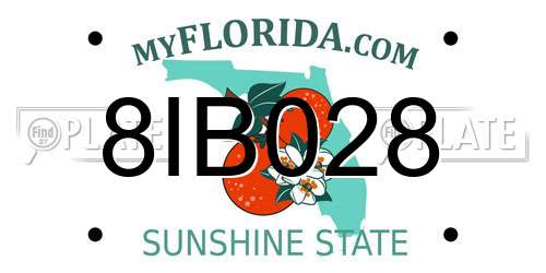 8IB028 Florida License Plate