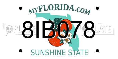 8IB078 Florida License Plate