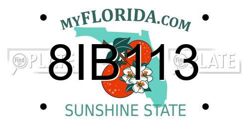 8IB113 Florida License Plate