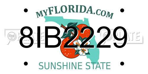 8IB2229 Florida License Plate
