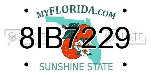 8IB7229 Florida License Plate