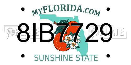8IB7729 Florida License Plate