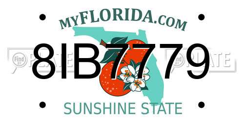 8IB7779 Florida License Plate