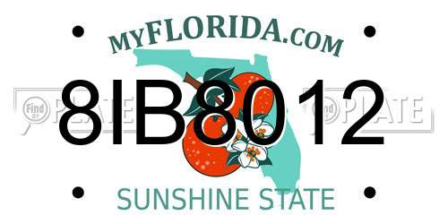 8IB8012 Florida License Plate