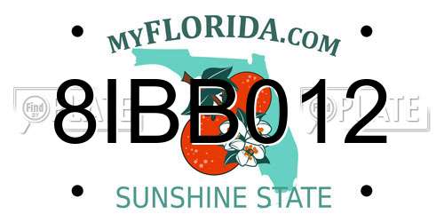 8IBB012 Florida License Plate