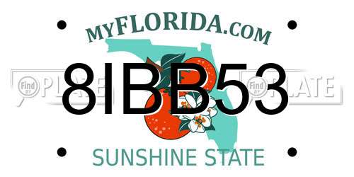 8IBB53 Florida License Plate