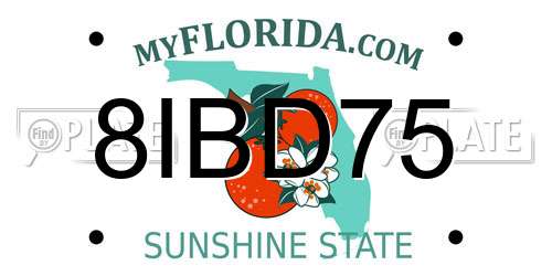 8IBD75 Florida License Plate