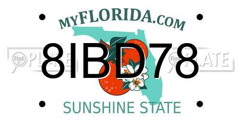 8IBD78 Florida License Plate