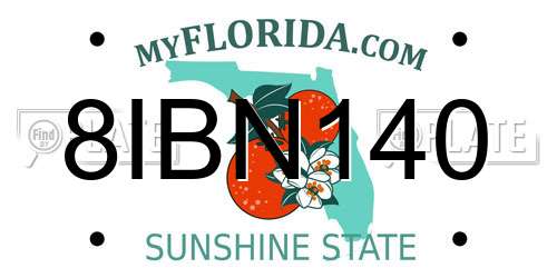 8IBN140 Florida License Plate