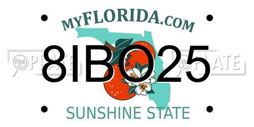 8IBO25 Florida License Plate