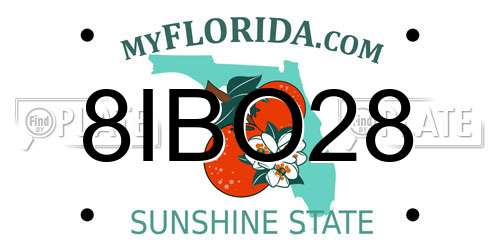 8IBO28 Florida License Plate