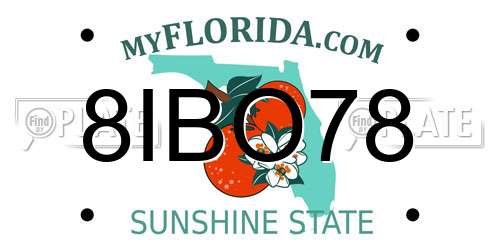 8IBO78 Florida License Plate