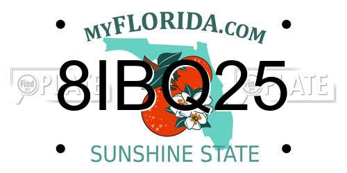 8IBQ25 Florida License Plate
