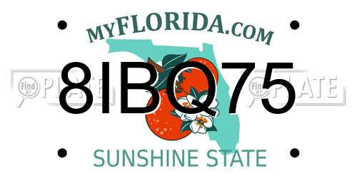 8IBQ75 Florida License Plate
