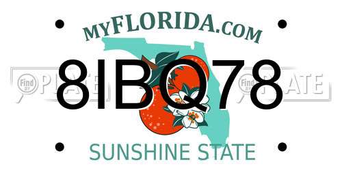 8IBQ78 Florida License Plate