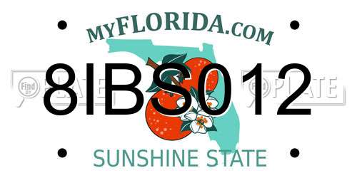 8IBS012 Florida License Plate