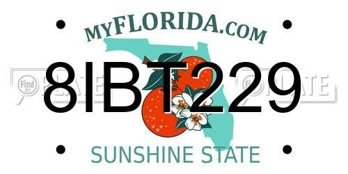 8IBT229 Florida License Plate