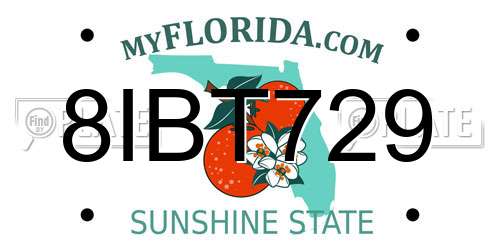 8IBT729 Florida License Plate
