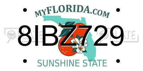 8IBZ729 Florida License Plate