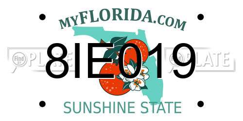 8IE019 Florida License Plate