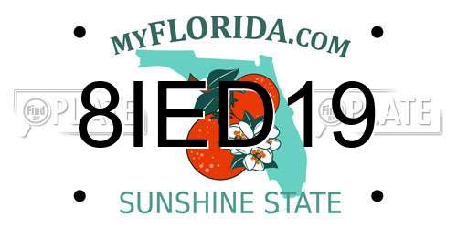 8IED19 Florida License Plate