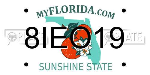 8IEO19 Florida License Plate