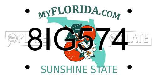 8IG574 Florida License Plate