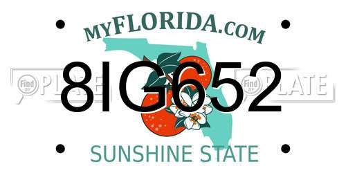 8IG652 Florida License Plate