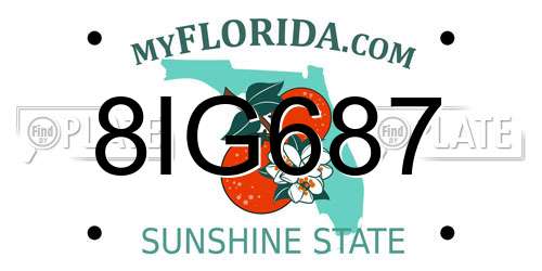 8IG687 Florida License Plate