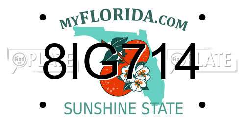 8IG714 Florida License Plate