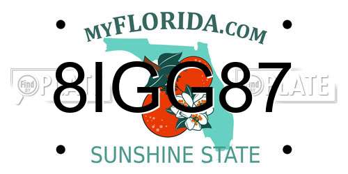 8IGG87 Florida License Plate