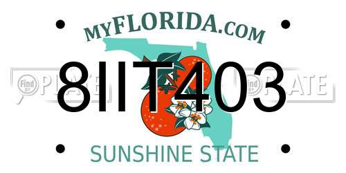 8IIT403 Florida License Plate