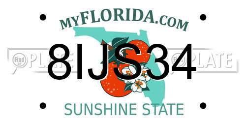 8IJS34 Florida License Plate