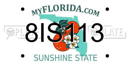 8IS113 Florida License Plate