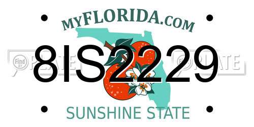 8IS2229 Florida License Plate